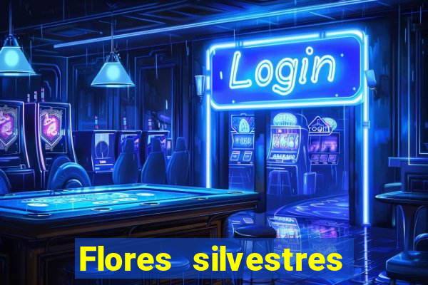 Flores silvestres brasileiras brasileiras flores silvestres nomes e imagens